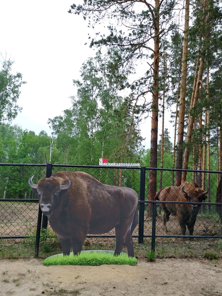 Заповедное путешествие