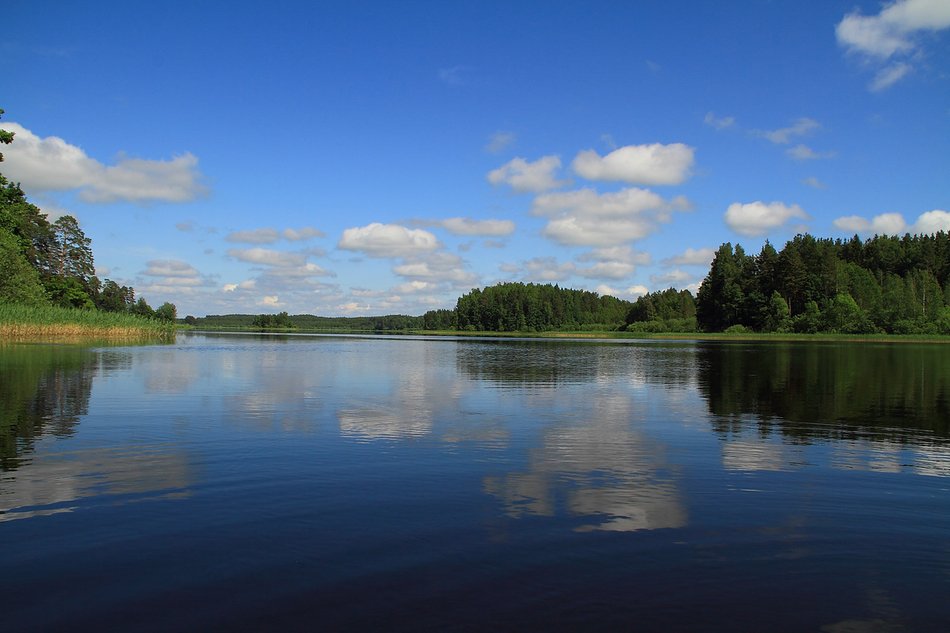 Смешное озеро. Красноярск озеро круглое шарыповский район. Шванзее лебединое озеро. Кучерлинское озеро рыбалка. Самое смешное озеро в мире.
