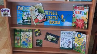 Новостное превью